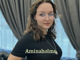 Aminaholms