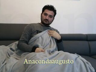 Anacondaaugusto
