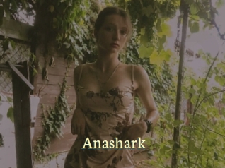 Anashark
