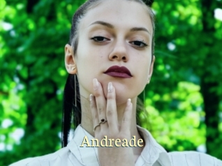andreade Porn str8