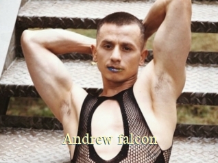 Andrew_falcon