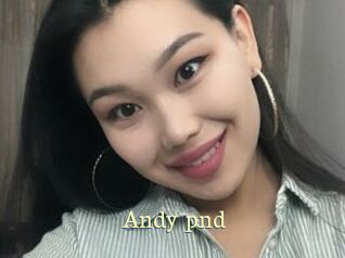 Andy_pnd