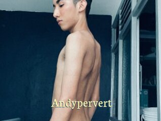 andypervert Porn str8