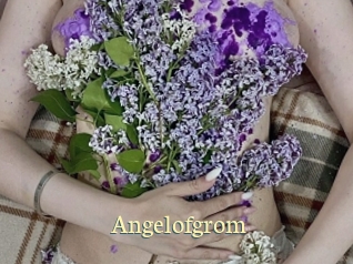 Angelofgrom