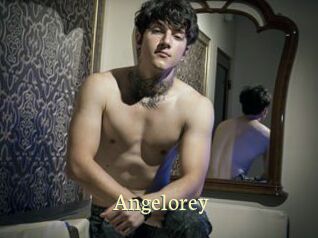 angelorey Porn str8