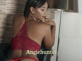 Angiehunter