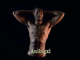 Anibigxl