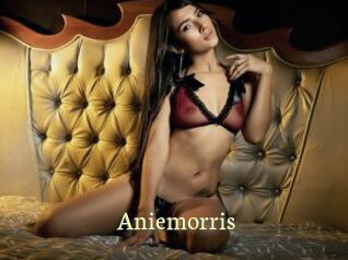 Aniemorris