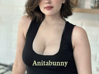 anitabunny Porn str8
