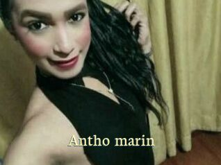 Antho_marin