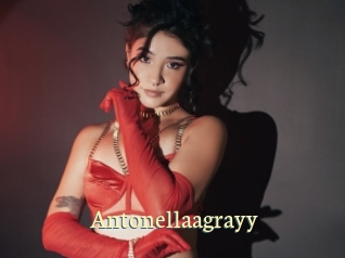 Antonellaagrayy