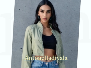 Antonelladivala