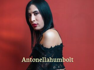 Antonellahumbolt