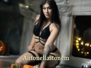 antonellastonem Porn str8