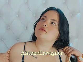 antonellawagner Porn str8