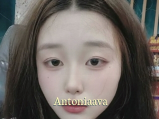 Antoniaava