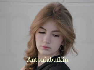 Antoniabufkin
