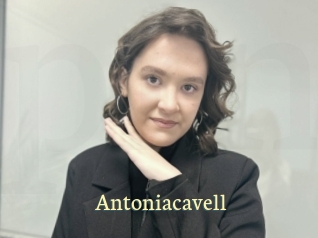 Antoniacavell
