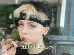 Antoniachasey