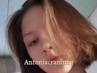 Antoniacrammer