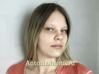 Antoniadumford
