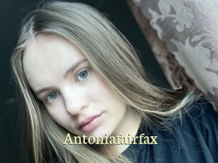 antoniafairfax Porn str8