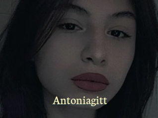Antoniagitt