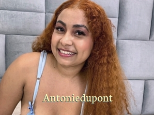 Antoniedupont