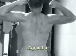 Aquachar