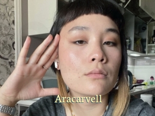 aracarvell Porn str8