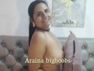 Araina_bigboobs