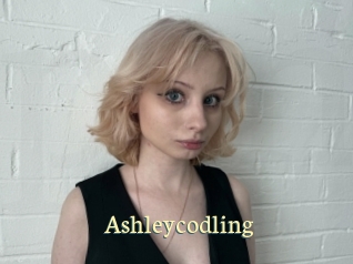 Ashleycodling
