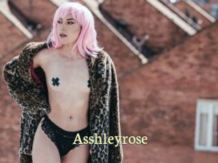 Asshleyrose