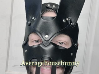 averagehousebunny Porn str8