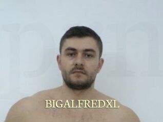 BIGALFREDXL Porn str8