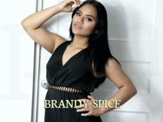 BRANDY_SPICE