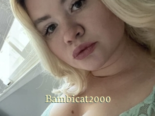 Bambicat2000 Porn str8