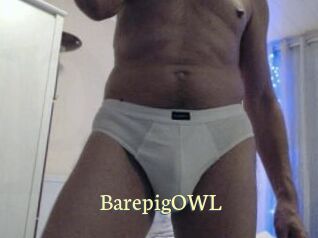 BarepigOWL Porn str8