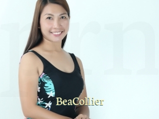 BeaCollier Porn str8