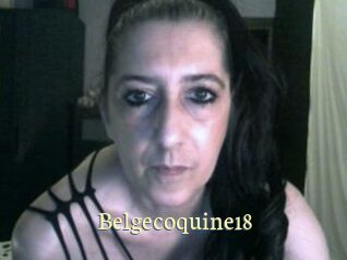Belgecoquine18 Porn str8