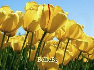 BelleB3 Porn str8