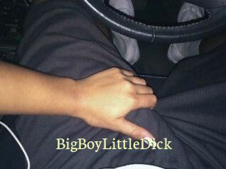 BigBoyLittleDick