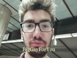 BigGayForYou