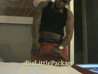 BigLittlePackage