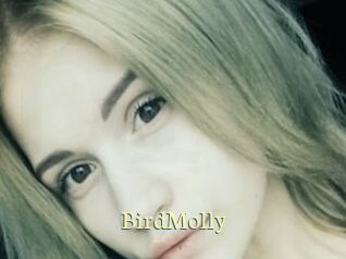 BirdMolly