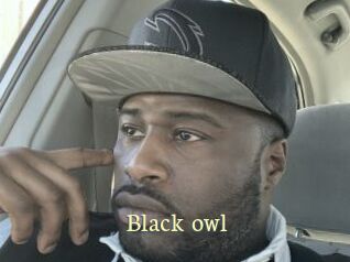 Black_owl