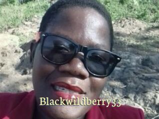 Blackwildberry33