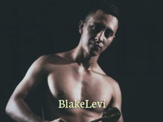 BlakeLevi Porn str8