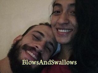 BlowsAndSwallows
