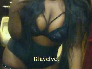 Bluvelvet